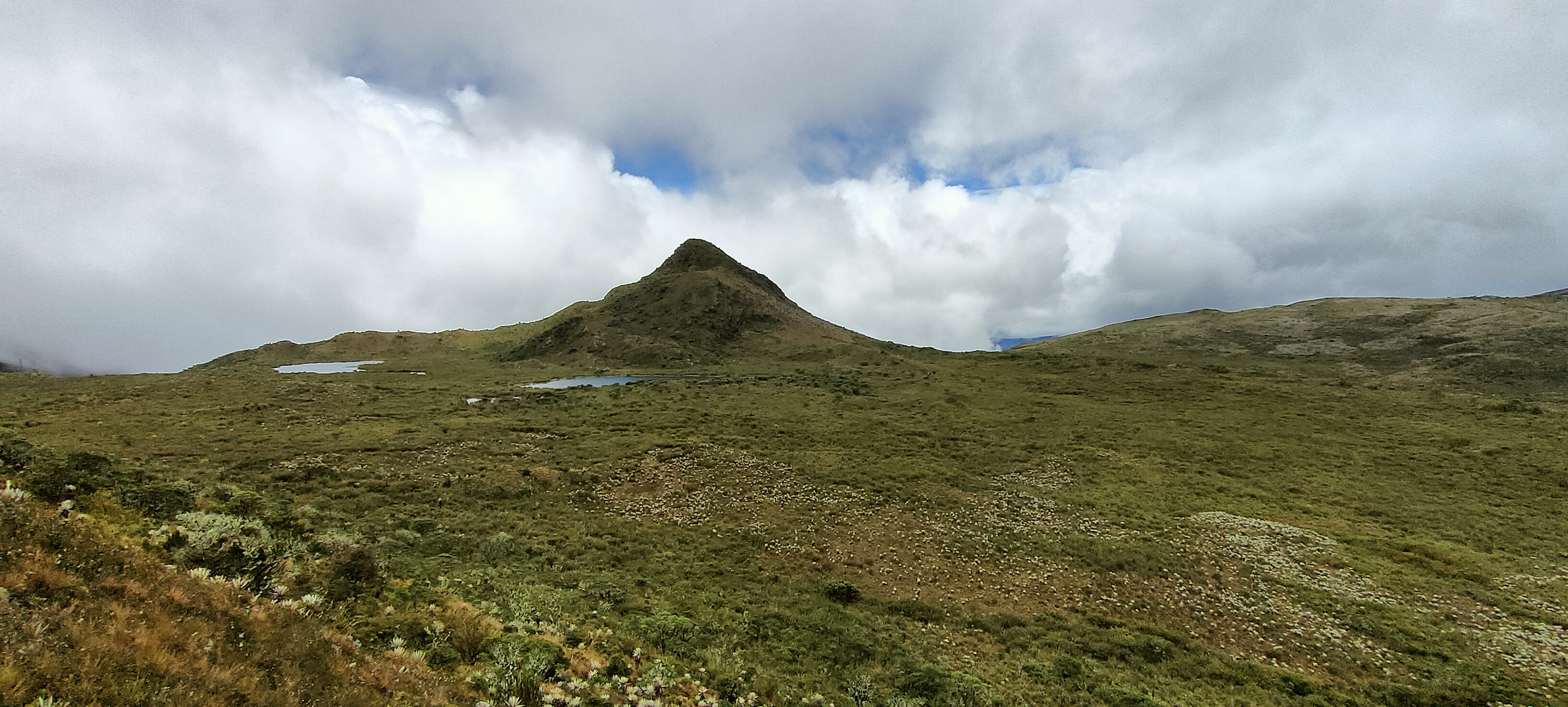 Páramo landscape with frailejones and small lakes below a peak